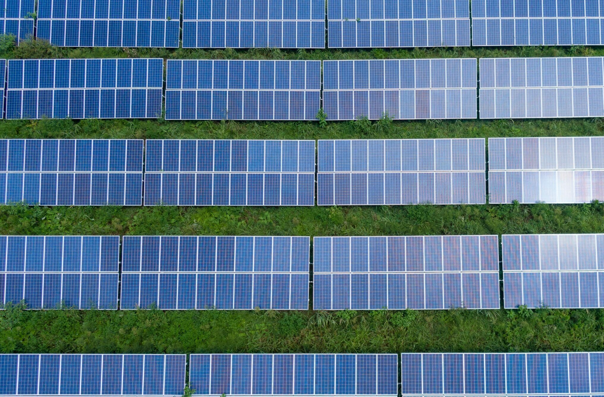 Aerial shot of a solar panel array generating renewable energy in Trenton, Georgia.